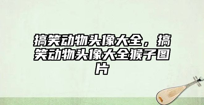 搞笑動物頭像大全，搞笑動物頭像大全猴子圖片