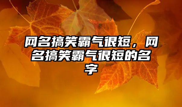 網(wǎng)名搞笑霸氣很短，網(wǎng)名搞笑霸氣很短的名字