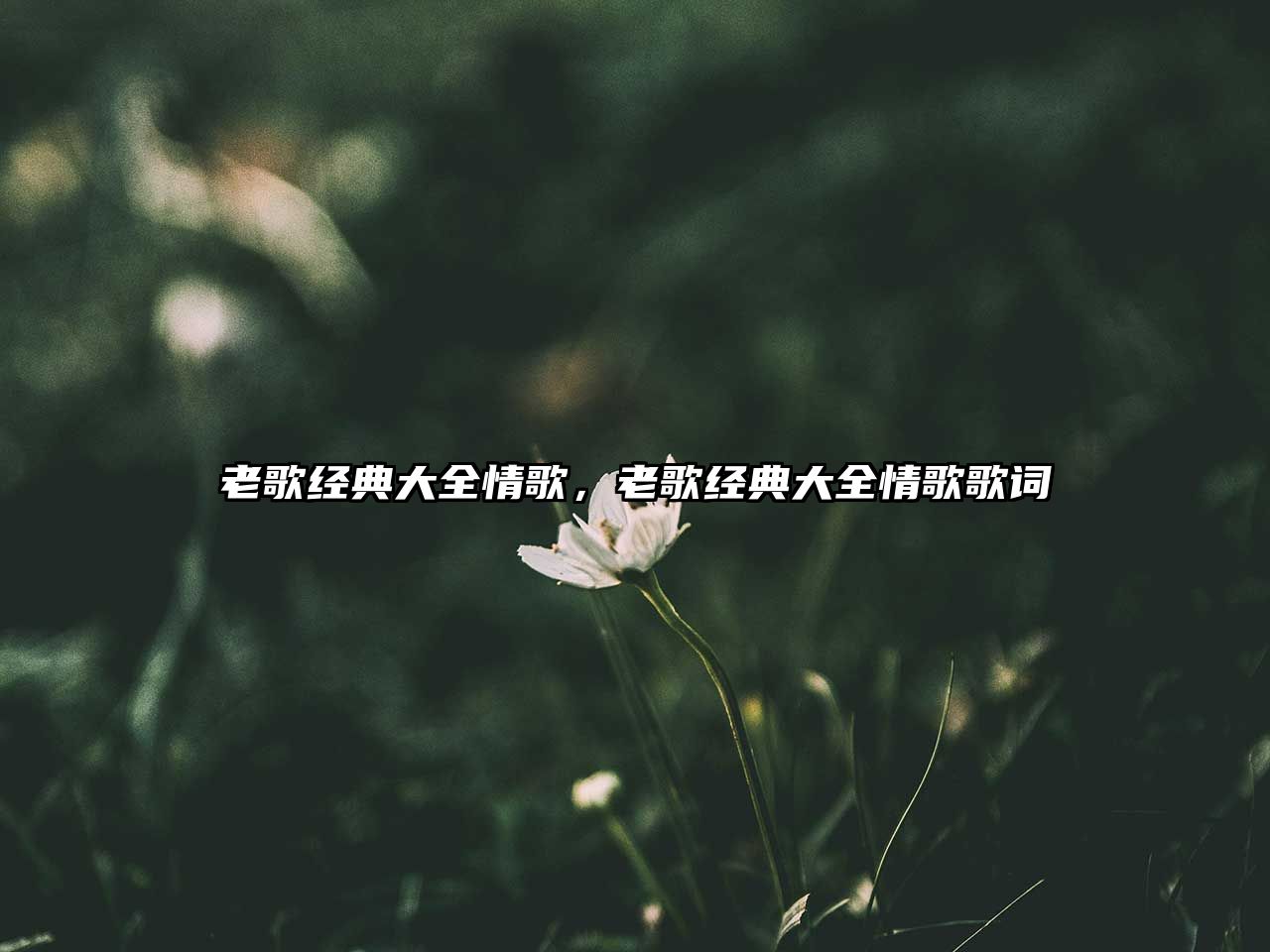 老歌經(jīng)典大全情歌，老歌經(jīng)典大全情歌歌詞
